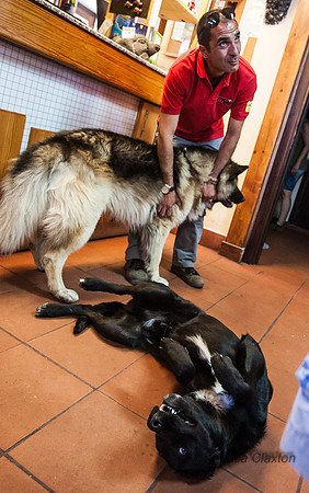20140608-_DSC5726