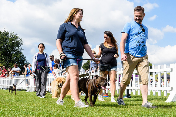 Saturday 2nd September 2017 Pup Aid 2017 Celebrity judged fun dog show Primrose Hill, London, UK