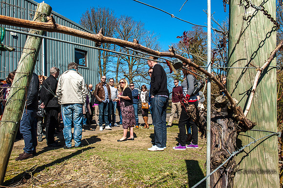 20130420-_JMC8685