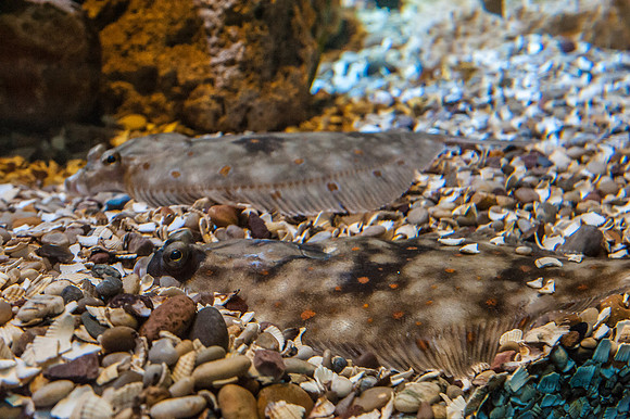 20130428-_JMC9663