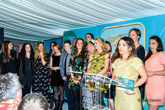 Thursday 14th September 2017 Brighton & Hove Business Awards, Proud Country House, Stanmer Park, Brighton. East Sussex, UK
