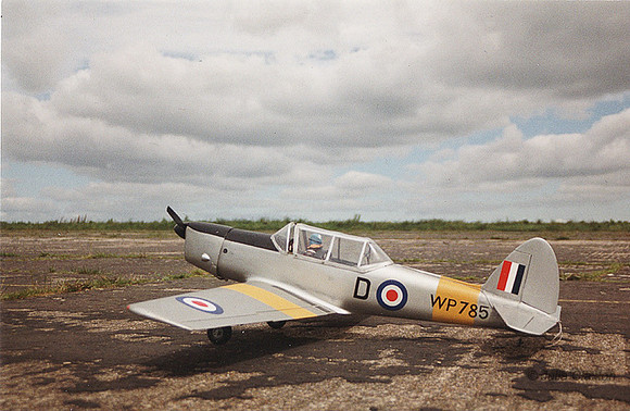 85-20120119-1261-278-Dad's model Chipmunk