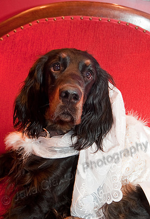 K9RW_JMC_0297