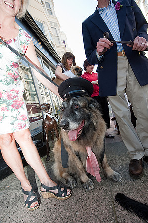 K9RW_JMC_0394