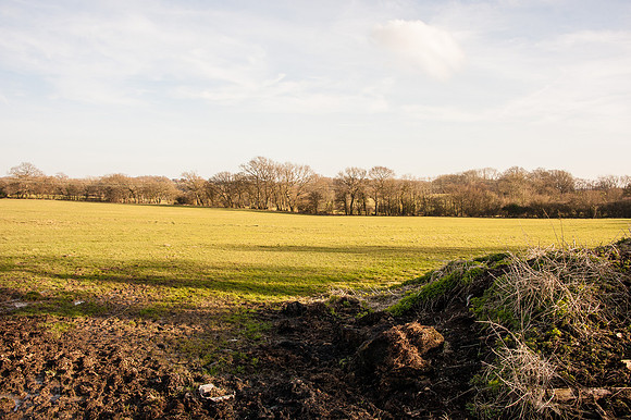 20140306-_JC20307