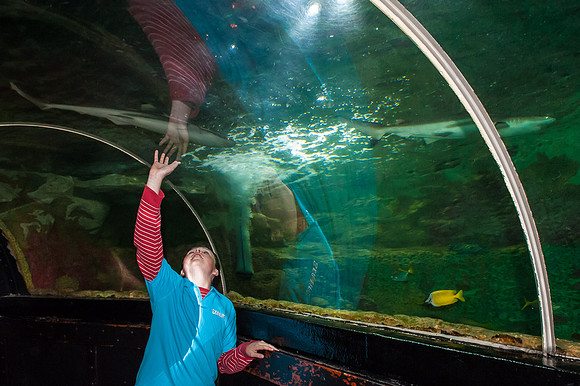 20130428-_JMC9482