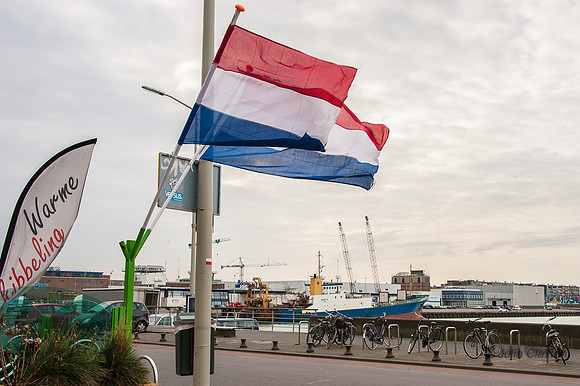20140225-20140225-_JC28751