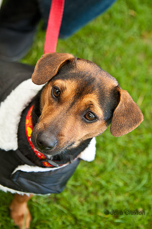 20120707-JMC_5100