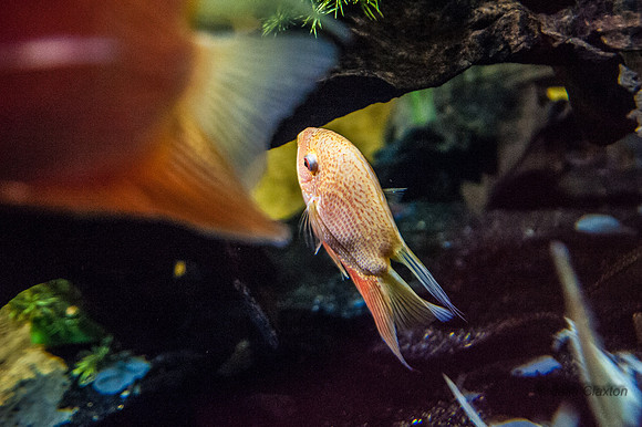 20130428-_JMC9725