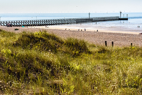761-20210718-_DSC3994