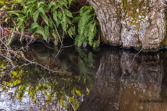 20140306-_JC20267