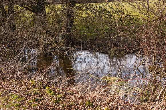 20140306-_JC20146