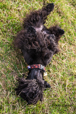 20140725-_DSC7170