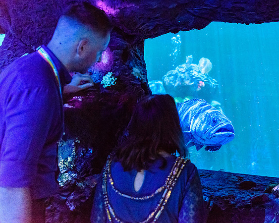 21-20220809-_DSC0446