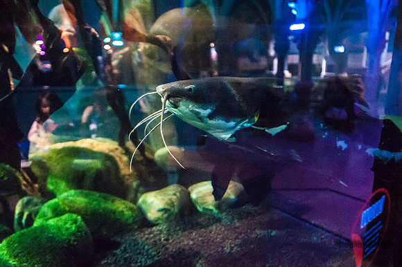 20130428-_JMC9653