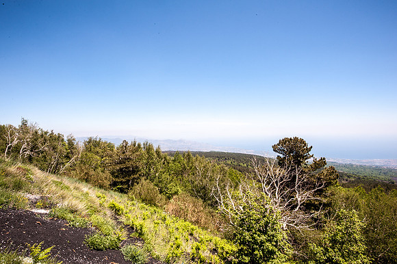 20140608-_DSC5722