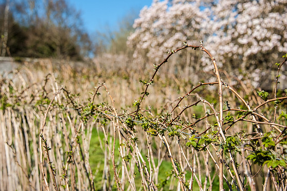 20130420-_JMC8914