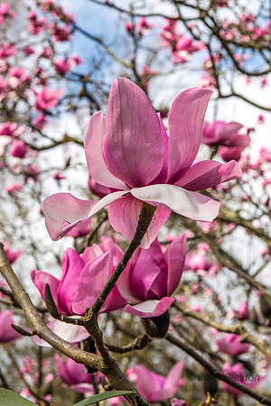 20150331-128