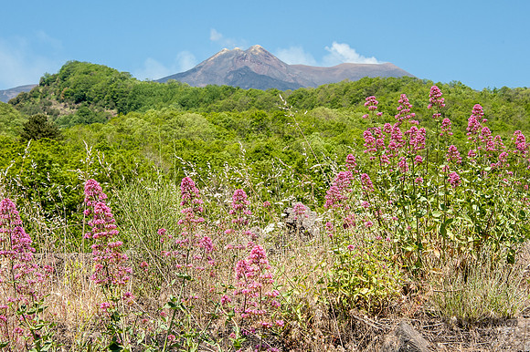 20140608-_JC28682