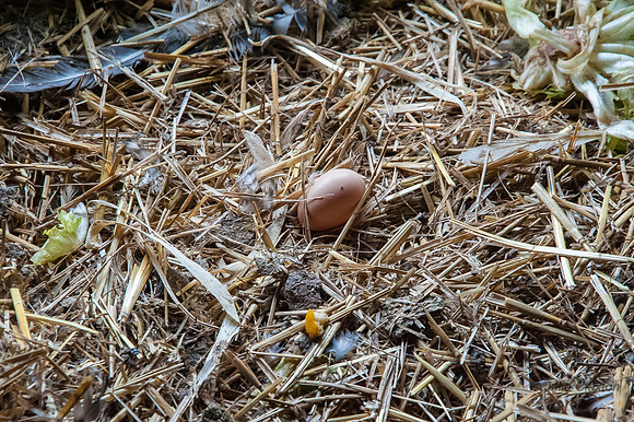 20131011-_DSC8900