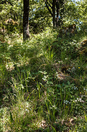 20140608-_JC28764