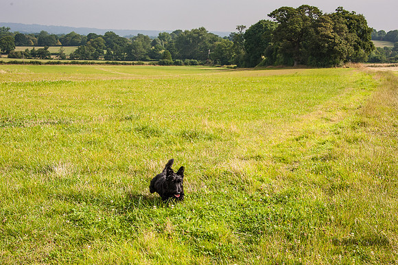 20140725-_DSC7184