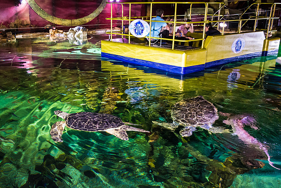 20140919-DSC_2619