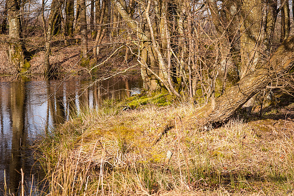 20140306-_DSC4238