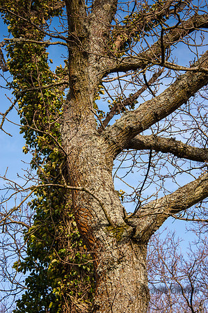 20140306-_JC20152