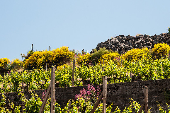 20140608-_JC28769
