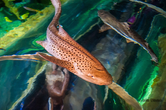 20130428-_JMC9563