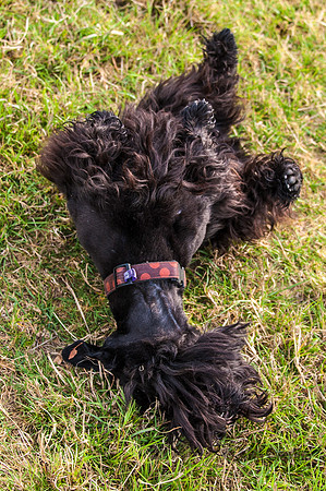 20140725-_DSC7171