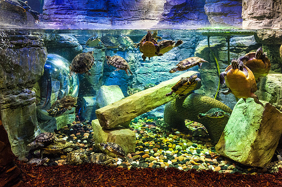 20140412-_JC22948