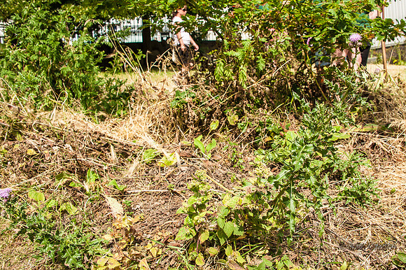 20130717-_JC29473
