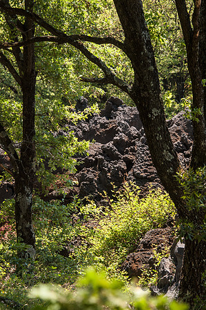 20140608-_JC28758