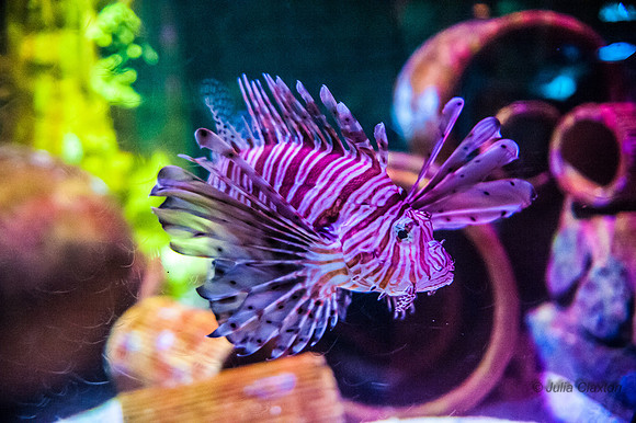 20130428-_JMC9692