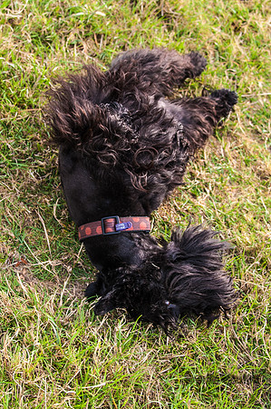 20140725-_DSC7168