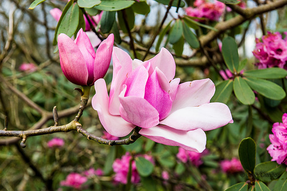 20150331-126