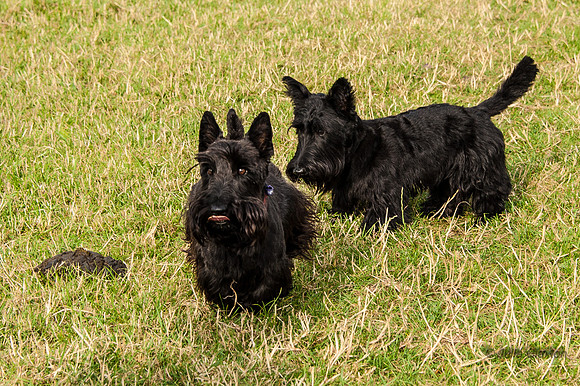 20140725-_DSC7167