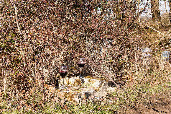 20140306-_JC20292