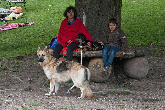 20110619_2928