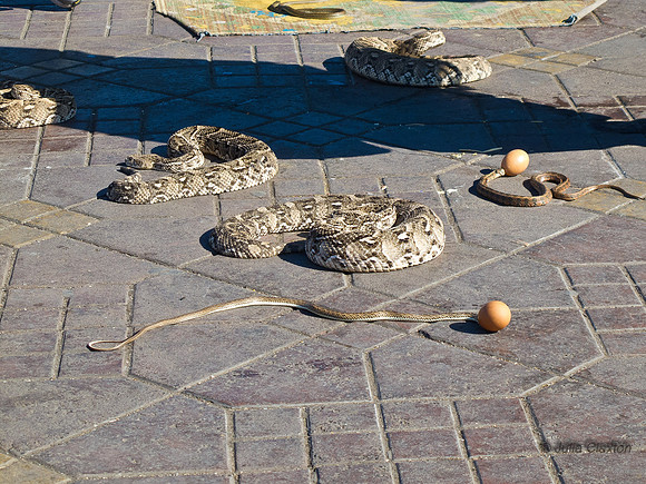 20130113-IMG_3493