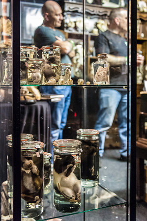 20140215-_DSC2465