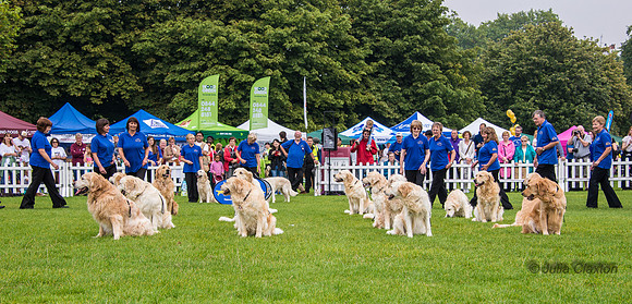 20140906-DSC_1389