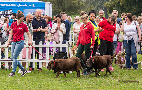 20140906-DSC_1407
