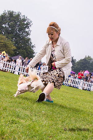 20140906-DSC_1505