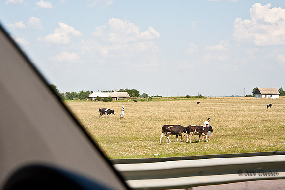 20120729-_JMC6444