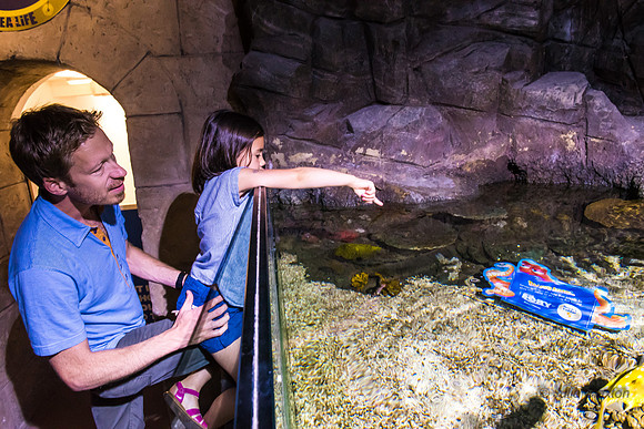 55-20160715-_DSC6044