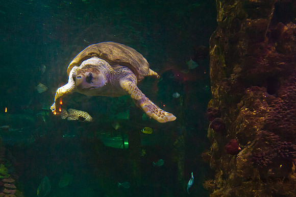 120229-6043