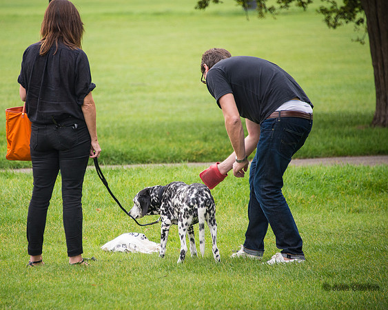 20140906-DSC_1216